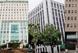 검찰·공수본, 현직 대통령 ‘이중 출석요구’