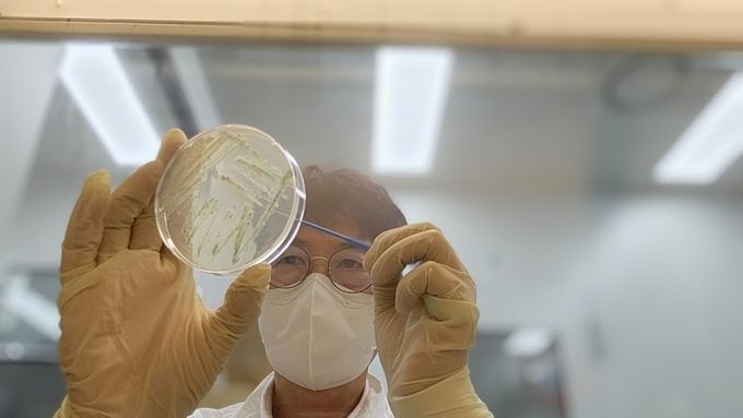 5월 해수서 비브리오패혈증균 검출… 여름철 해산물 주의 당부