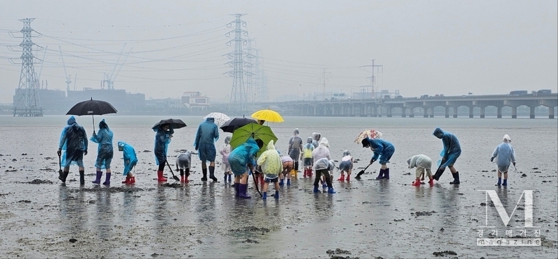 정광윤 화성오산교육지원청 교육장,화성다가치-에코리움 공유학교 현장 방문(사진= 시화호 갯벌 체험 장면/ 화성오산교육지원청 제공)