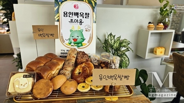용인특례시, 지역 대표 농산물 백옥쌀 활용한 제빵용 백옥쌀가루 출시(사진=용인시 제공)