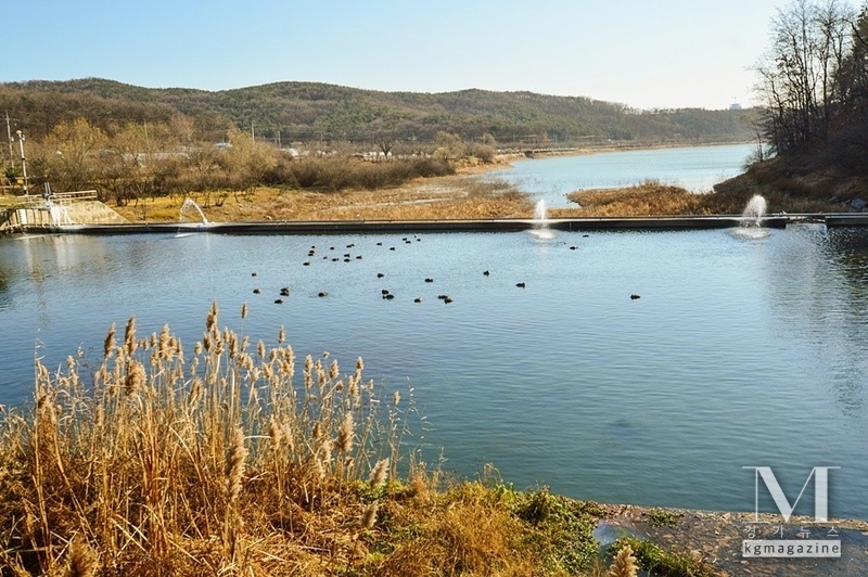 수원 광교저수지서 70대 여성 시신 발견돼 수사에 나섰다.(사진=광교저수지 전경/이미지 캡쳐)