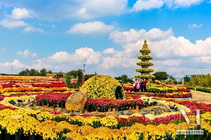 2023 연천국화축제 모습(사진=연천군 제공)